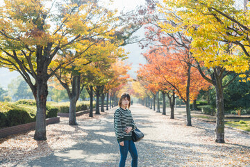 Fototapeta premium 紅葉と女性