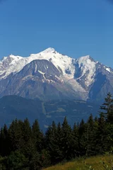 Photo sur Plexiglas Mont Blanc Daily life. France.