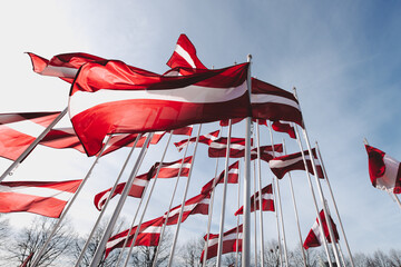 Latvian flags against sky - obrazy, fototapety, plakaty
