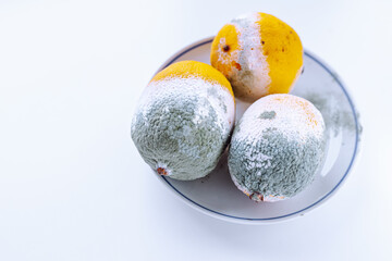 Moldy spoiled food covered with blue mold
