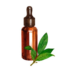 Bay essential oil, bay oil, bay essence, bay leaves, amber glass bottle, dropper. Drawing watercolor illustration isolated on white background. Suitable for medicine and cosmetology, natural cosmetic
