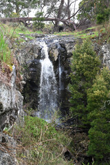 Fototapeta na wymiar Sailor Falls, Hepburn Regional Park, Daylesford, Victoria, Australia