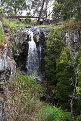 Naklejka na ściany i meble Sailor Falls, Hepburn Regional Park, Daylesford, Victoria, Australia