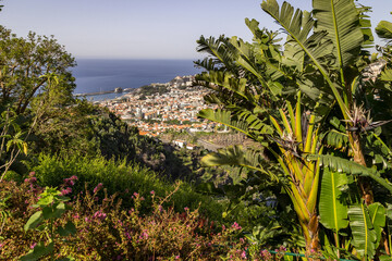 Tropisches Funchal