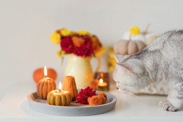 Fototapeta na wymiar Cozy autumn mood. Flowers and candles