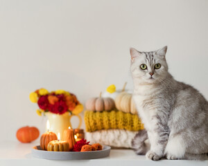 Cozy autumn mood. Flowers and candles