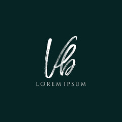 Letter VB luxury logo design vector