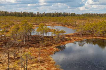 Swamp with lakes, bog in Estonian nature reserve.