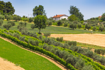 rural landscape with houses standing alone in the province of Tuscany