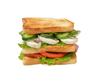 Homemade vegan sandwich with mushrooms, tomato, cucumber and green salad. Sandwich isolated on white background. Side high view of sandwich