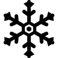 snowflake solid icon