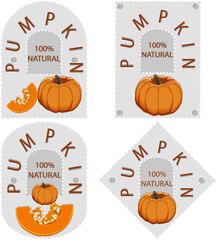 Fototapeta premium Sweet juicy tasty natural eco product pumpkin