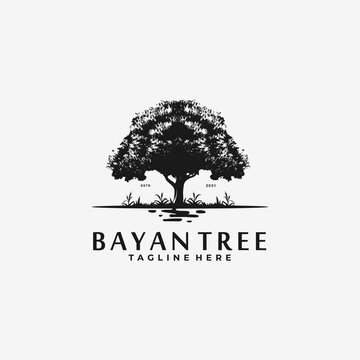 Bayan Tree, Oak Tree vector illustration logo design template