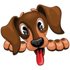 Photo sur Plexiglas Dessiner Teckel Pet Dog Mignon, Heureux et Ludique Peeking Cartoon Character Vector Illustration isolé sur blanc