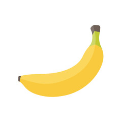 Banana vector. yellow fruit for vegetarian health
