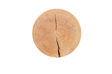 tree trunk cross section, isolated on white, clipping path included