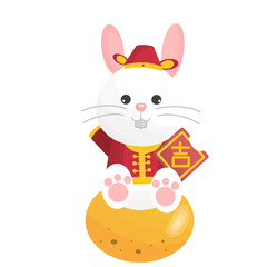 Rabbit in traditional Chinese dress in Chinese new year