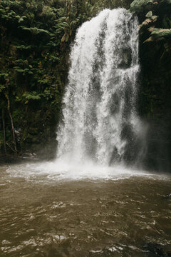 Beauchamp Falls in the Otways, Australia