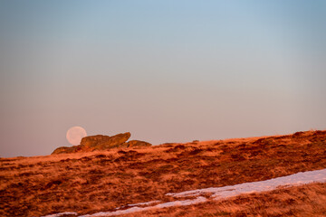 Scenic view of the full moon after sunrise seen from an alpine meadow near Ladinger Spitz, Saualpe, Lavanttal Alps, Carinthia, Austria, Europe. Grassland at early morning golden hour in Wolfsberg