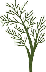 dill herb spice ingradient food clipart