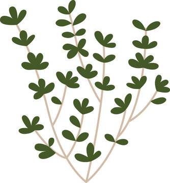 green leaves on beige stems clip art preview