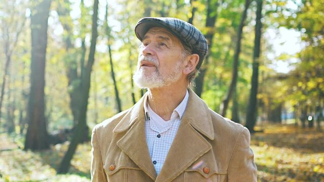 Slow motion portrait of mature grey-haired bearded elegant man standing in autumn park thinking looking at camera smiling. Happy thoughtful male in coat and cap spending time on fresh air.