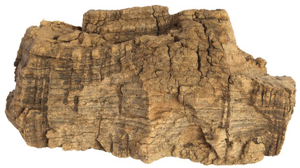 Chunk of cork oak bark , with a rock-like texture