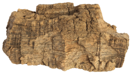 Chunk of cork oak bark , with a rock-like texture