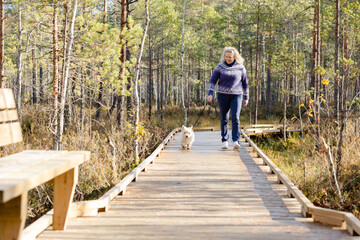 Woman with West Highland white terrier walking on forest trail