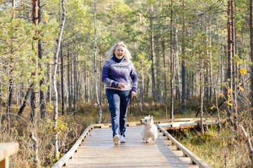 Fototapeta premium Woman with West Highland white terrier walking on forest trail