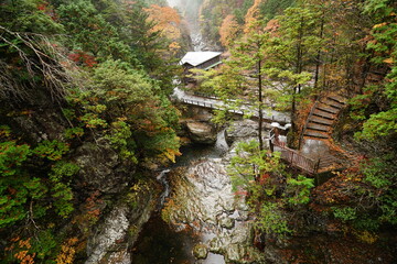 雨の御手洗（みたらい）渓谷　（奈良県　吉野郡　天川村）
