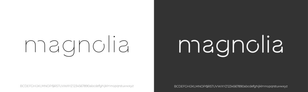 Elegant Font. Luxurious Glamour Exclusive Light Regular Font. Uppercase Lowercase and Number. Minimal Fashion Design 