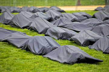 Body bags on green meadow