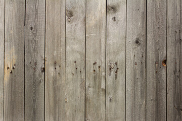 Wooden background.Rustic wooden fence with slits and nails.Natural grey color.