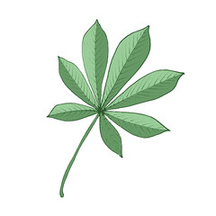 Plant drawing, modern design. Abstract Plant Art design for print, cover, wallpaper. PNG  illustration