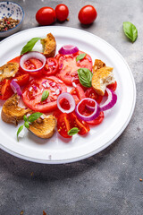 tomato salad panzanella bread, onion vegetable meal food snack on the table copy space food background  top