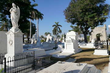 Gräber aus Marmor, Königspalme (Roystonea regia), Cemeterio Santa Ifigenia, Friedhof, Santiago de Cuba, Provinz Santiago de Cuba, Karibik, Kuba, Mittelamerika