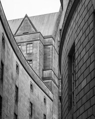 A day at the library.