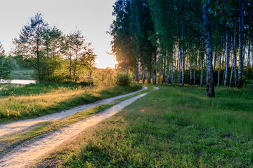 road in the forest