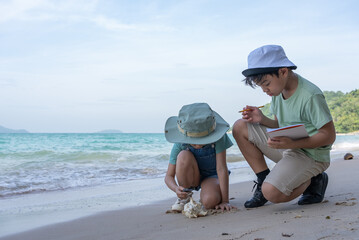 Child or kids uses a magnifying glass to look at seashells on the beach near the sea, learning...