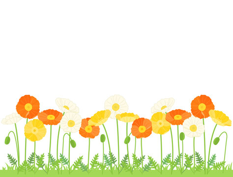 黄色と白とオレンジ色のポピーのお花畑をイメージしたイラスト