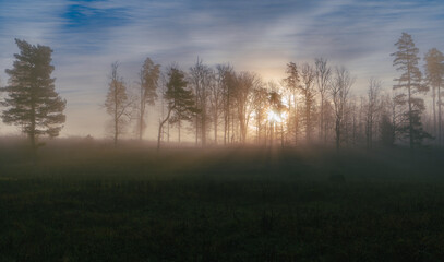 Misty morning in the countryside with sun rays between trees. natural background
