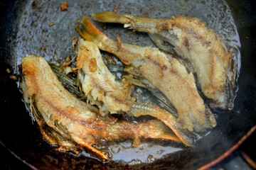 Autumn fishing, cooking fish over a fire.
