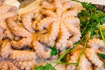 fresh octopus on a fish market