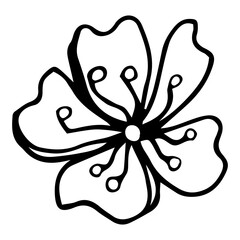 Sakura flower doodle icon. Back line isolated on white. One line contour floral drawing.Vector illustration