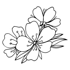 Sakura flower doodle icon. Back line isolated on white. One line contour floral drawing.Vector illustration