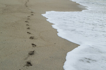 Footpath in Tayrona National Park