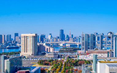 Fototapeta premium 東京 2022秋 お台場 東京タワー
