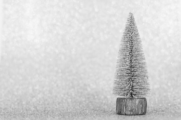 silver fir tree for christmas front of a silver background 
