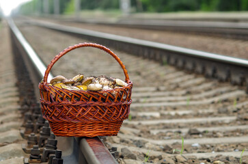 A basket with forest mushrooms stands on the rails of the railway. Picking up mushrooms in the...